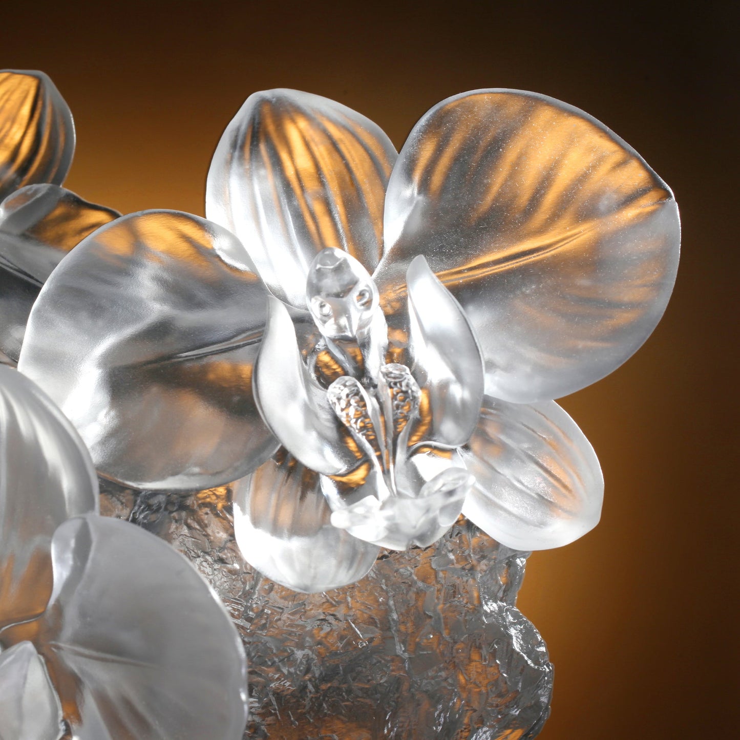 Orchid in the Ravine