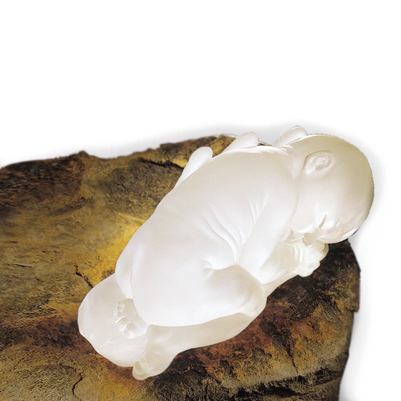 Crystal Baby Doll Figurine, A Great Wish (Special Edition) - LIULI Crystal Art