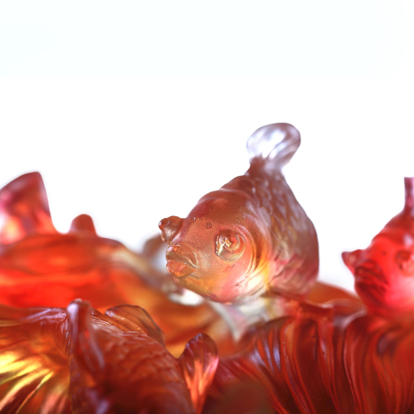 Crystal Fish, Goldfish, Rising New Era, 24k Gold Leaf