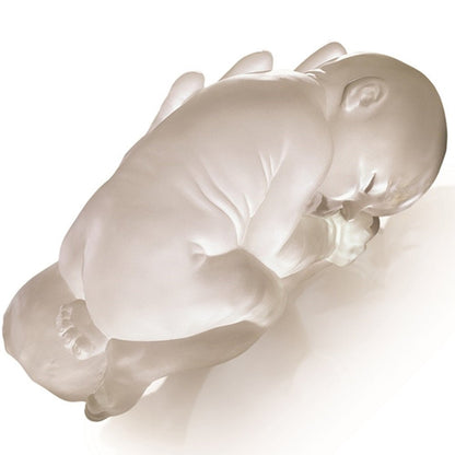 Crystal Baby Doll Figurine, A Great Wish (Special Edition) - LIULI Crystal Art