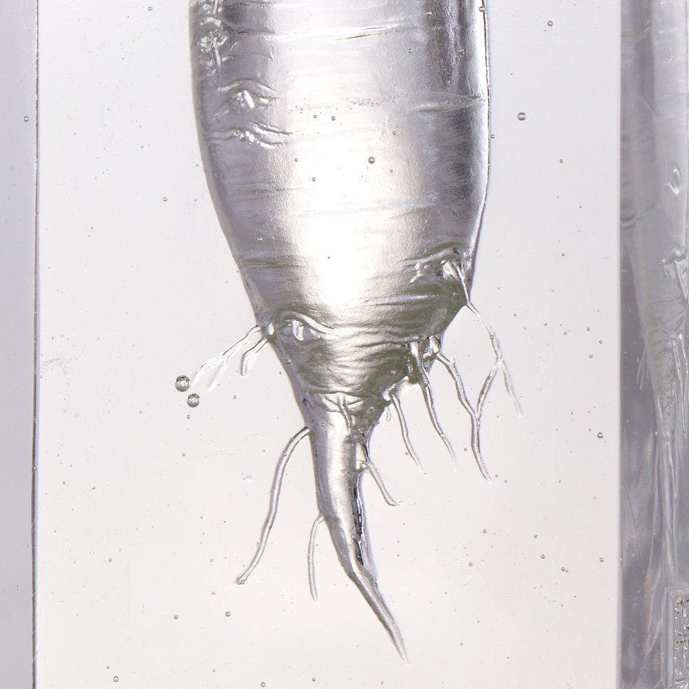 Crystal Kitchen Decor, Daikon, Tomorrow is Mine - LIULI Crystal Art