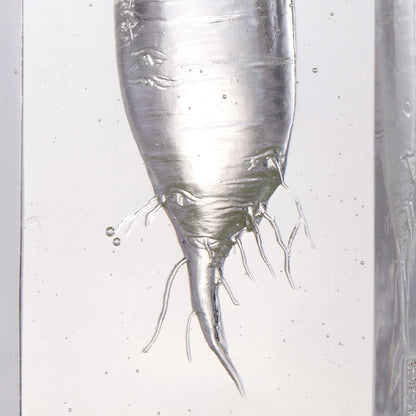 Crystal Kitchen Decor, Daikon, Tomorrow is Mine - LIULI Crystal Art