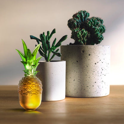 Crystal Pineapple, Kitchen Decor, Flying High - LIULI Crystal Art