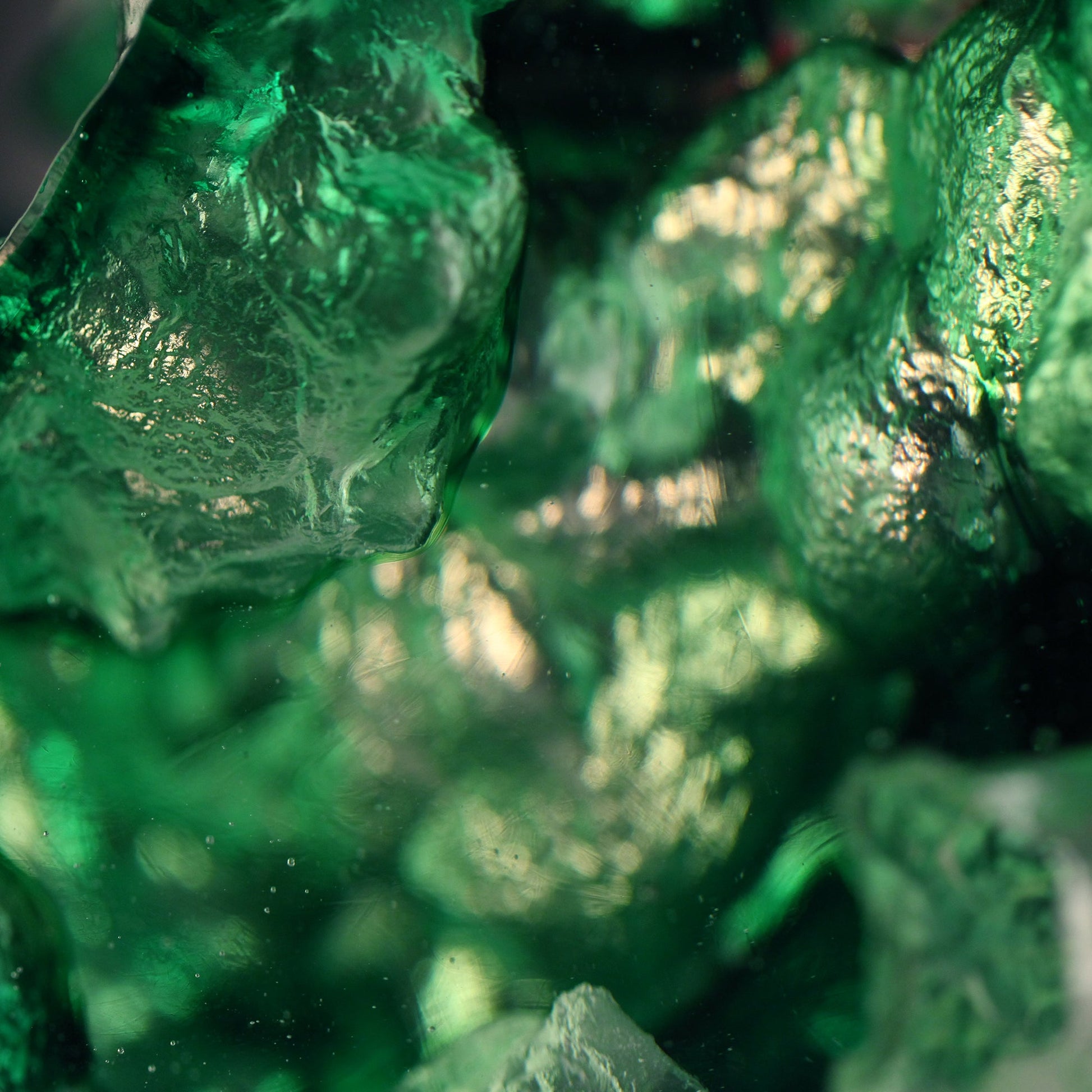 LIULI Crystal Fish and Pine Tree, Evergreen Prosperity - LIULI Crystal Art